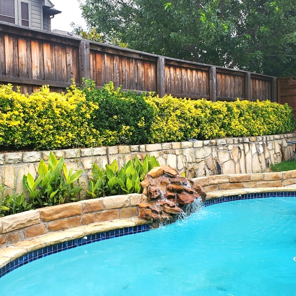 Meet your Posher, Erica - Picture 2 of 3